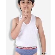 renusingh191@outlook.com
