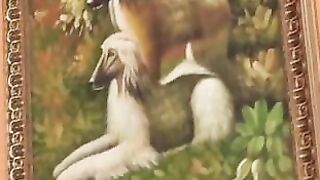 Young and Old Lesbian