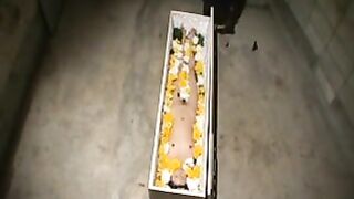 A Fuckwork Orange (Part 1 of 4)