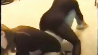 Wrestling 2 Girls Vs. 1 Girl