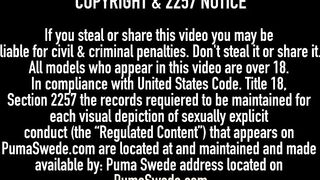 Lets Play Doctor Puma Swede Jessica Jaymes & Nicole Aniston!