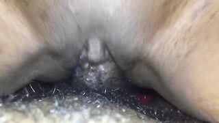 My twat swallows his rod!