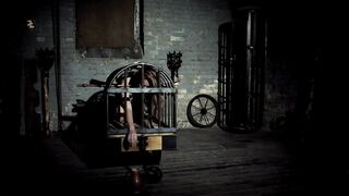 What to Do with a Blond Maid in a Cage