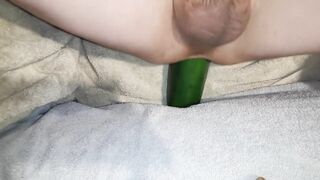 Large cucumber vegetable insertion anal training