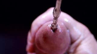 Sounding Rod Plug CUM-DISCHARGED XXXL up Close - CKing