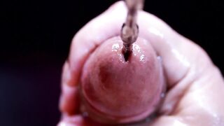 Sounding Rod Plug CUM-DISCHARGED XXXL up Close - CKing
