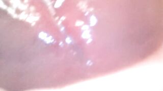 Sounding Rod Plug CUM-DISCHARGED XXXL up Close - CKing