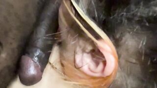 Bbc4HerOctaPus Delivers Violent Pussy Worship