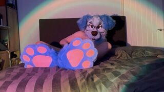Do u like my paws?