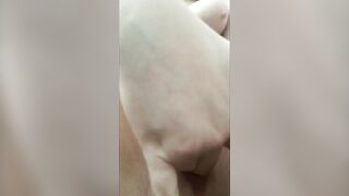 Public Outdoor Masturbation ( Cell Phone Masturbation )