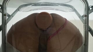Bulky Butt Trans Gwen Tennyson Facesitting and Anal Screwed with Creampie throughout Clear Chair for the 1st Time
