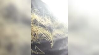 Part 1 mother I'd like to fuck Naked Public Hotel Dare