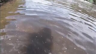Stripped River Swimming and Underwater Screwing