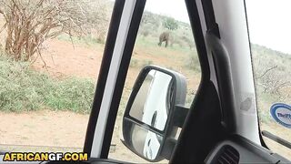 I took my BLACK FIANCEE on safari guessing that babe would behave... this babe ended up begging for my PENIS