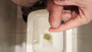 I pee in the WC, lift my dick by masturbation, prepare it for entering your anal.