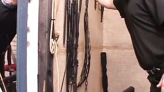 Older Golden-haired Sub Gets Tied and Whipped Wildly