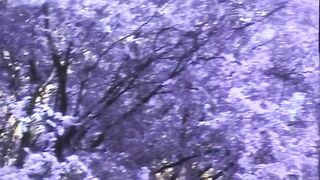 The Mystery of Blair - the Parody - (clip #01)