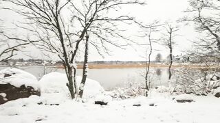 Wetting and Messing my Diaper on a Wintry Shore
