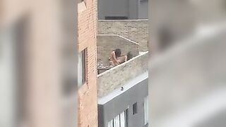 Lesbian strap-on on rooftop
