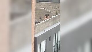Lesbian strap-on on rooftop