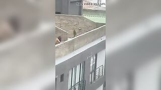 Lesbian strap-on on rooftop