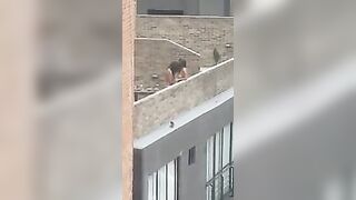 Lesbian strap-on on rooftop