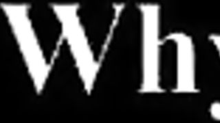 Curiosity And The Cats 3