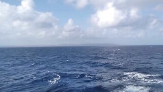 Caribbean Cruise with Hawt GILF mother I'd like to fuck Candi Annie