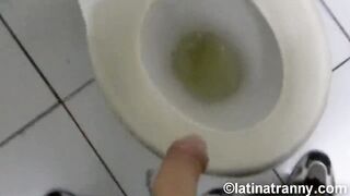 Nikki Montero transgender pornstar ladies room pissing on the throne-room and being inexperienced