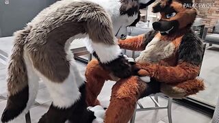 Twink Hunk Gets Drilled By Landlord For Unpaid Rent