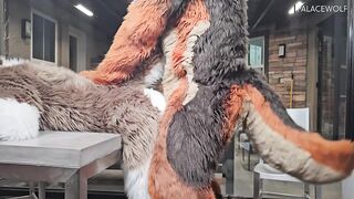 Twink Hunk Gets Drilled By Landlord For Unpaid Rent