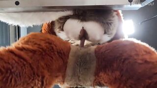 Twink Hunk Gets Drilled By Landlord For Unpaid Rent