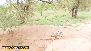 I took my EBONY GIRLFRIEND away on an outdoor travel where this babe got the LARGE COCK that babe had been missing