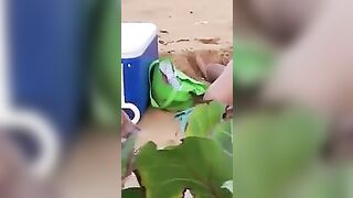 On beach 973