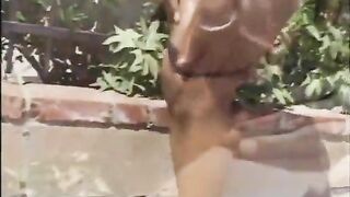 Fly doxies - chapter #three, movie #6