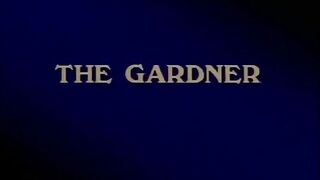 Classic Porn Dvds: Marilyn Chambers' Intimate Fant
