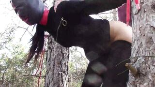 Bound up to a tree outdoor on hawt garments, wearing hose and high ankle boots heels, coarse screw