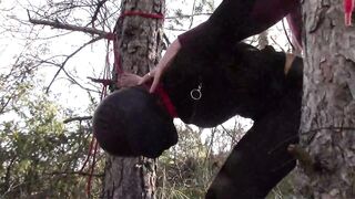 Bound up to a tree outdoor on hawt garments, wearing hose and high ankle boots heels, coarse screw