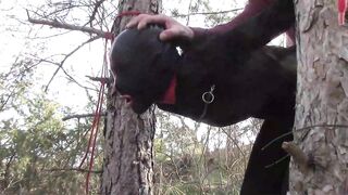 Bound up to a tree outdoor on hawt garments, wearing hose and high ankle boots heels, coarse screw