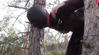 Bound up to a tree outdoor on hawt garments, wearing hose and high ankle boots heels, coarse screw