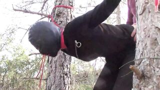 Bound up to a tree outdoor on hawt garments, wearing hose and high ankle boots heels, coarse screw