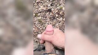 BushPlay