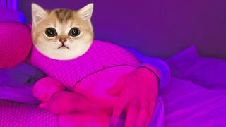 cute femboy tries anal toys for the 1st time