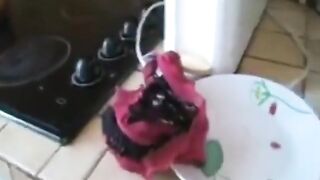 BBC Addiction - 100% Amateur and Home Made Porn Episodes. MILFs Addicted to BBC and Interracial Bangin