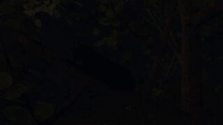 Below The Moonlight:Romantic Sex-Last Video