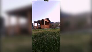 WilmaPetramale episode