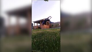 WilmaPetramale episode