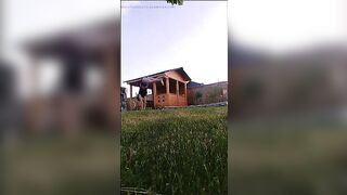 WilmaPetramale episode