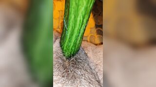 Cucumber time anew
