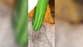 Cucumber time anew